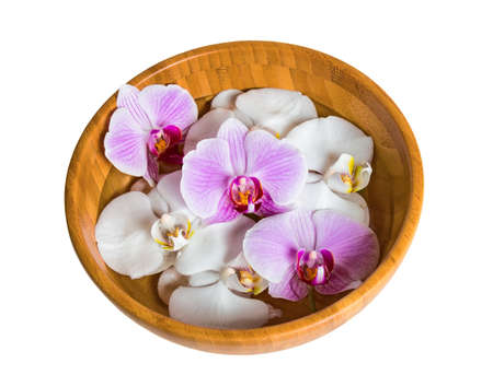 Bowl of orchids floating in water isolated on white backgroundの写真素材