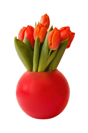 Bouquet of fresh tulips in vase isolated on white backgroundの写真素材