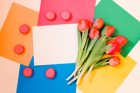 Bunch of spring tulip flowers, card and macaroon cookies on colorful paper backgroundの写真素材