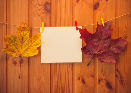 Autumn maple leaves and empty card hang on rope on wooden background
