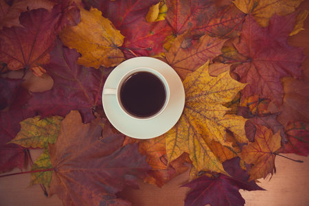 Autumn maple leaves and cup of coffee. Seasonal, morning coffee, sunday relax concept. Place for...