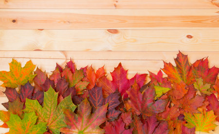 Border made of colorful autumn maple leaves over wooden background with copy space