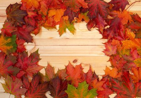 Frame made of autumn maple leaves over wooden background. Top view, copy space.