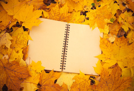 Autumn yellow leaves and empty notepad as copy space for your text. Outdoor.
