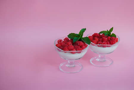 Homemade  italian dessert panna cotta with fresh raspberry served in glass ice cream bowls on pink background. View with copy space. Selective focus.の写真素材