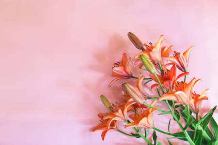 Bouqoet of beautiful orange lilies on pink background. Selective focus. Top view, copy space.の写真素材