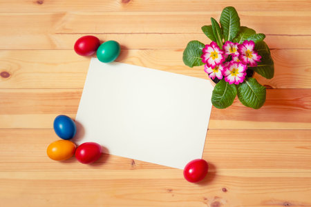 Empty card for your text, colorful easter eggs and primula flower on wooden background. Top view...
