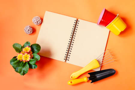 Empty notepad, gardening tools, colorful flower pots and primula flower on orange background. Top view, copy space.の写真素材