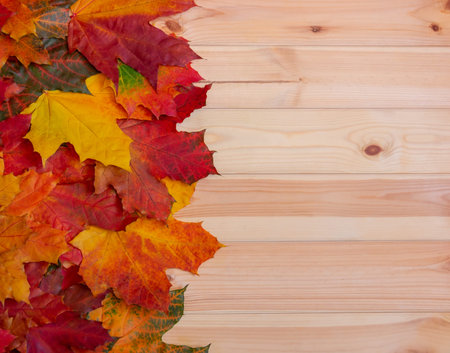 Colorful autumn maple leaves as border on wooden background with copy space. Selective focus.