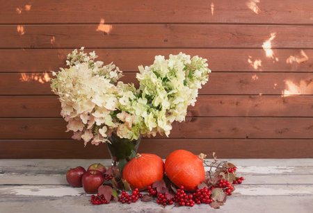 White hydrangea, red apples, viburnum berries and pumpkins on rustic wooden table. Sun glare are on...