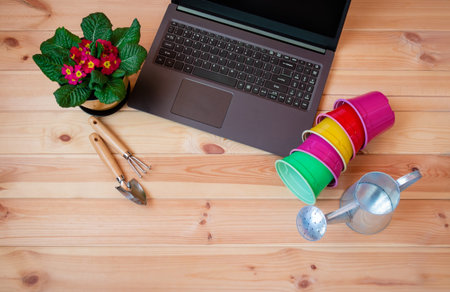Gardening tools, primula flower and laptop on wooden table. Gardening and technology concept or...