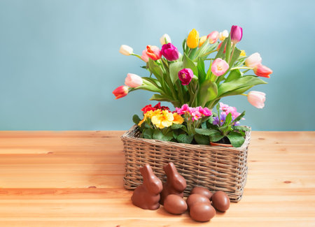 Spring and Easter concept. Colorful tulips, primula flowers, chocolate bunnies and chocolate Easter eggs on wooden table. Selective focus. View with copy space.の写真素材