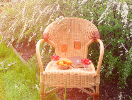 Glasses of rose champagne, book, apricots and fresh strawberry in glass bowls on wicker chair in garden on gray spirea flowers backgroundの写真素材