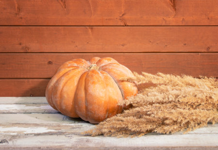Pumpkin and bunch of dry grass on aged wooden table. view with copy space.の写真素材