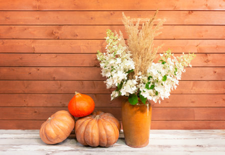 White hydrangea flowers and dry grass in clay vase and pumpkins on aged wooden table. view with copy space.の写真素材