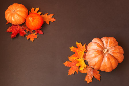 Border made of pumpkins and autumn leaves on dark background. Top view, copy space.の写真素材