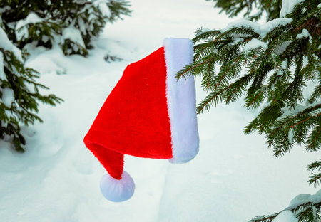 Santa hat hanging on branch of spruce tree in winter snow forest. Christmas and New year concept.の写真素材