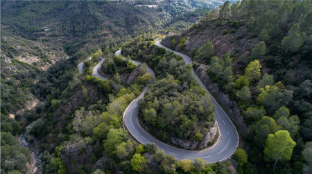 Aerial view of a winding road through a lush green forestの素材
