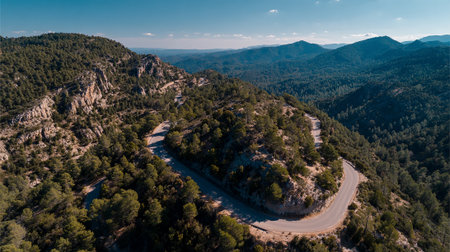 Winding Mountain Road Through Forest, Scenic Landscape with Breathtaking Viewsの素材