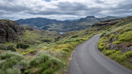 Scenic mountain road landscape in Madeira, Portugal with vibrant wildflowers and green hillsの素材