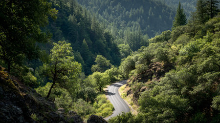 Serpentine Road Cuts Through a Lush, Green Forest Landscape and Mountain Backdropの素材