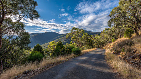 Serene Mountain Road with Lush Greenery and Distant Peaks Under a Cloudy Skyの素材