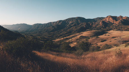 Rolling Hills Landscape in Golden Hour Light with Clear Blue Skyの素材