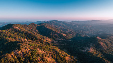 Aerial View of Rolling Hills and Valleys During Golden Hourの素材