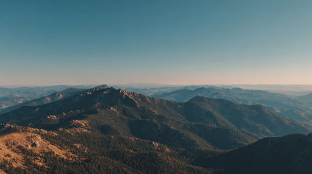 Mountain Range Vista: Pine Forest Slopes Under a Pale Blue Skyの素材