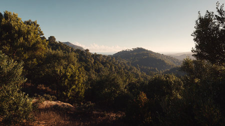 Lush Green Mountainside Vista at Dawn with Coastal Viewの素材