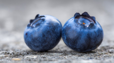 Two fresh blueberries on a rough gray surface, a vibrant macro image.の素材