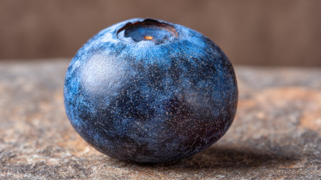 Fresh Single Blueberry On Rustic Stone Background Captured In Detailed Macroの素材