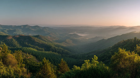 Forested Mountain Range at Sunset with Layers of Rolling Hillsの素材