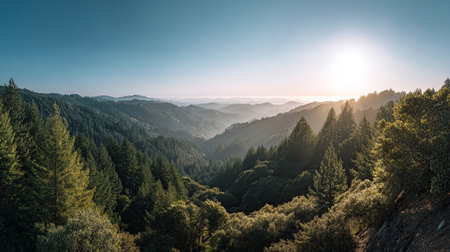 Verdant Valley at Dawn: Sunlight Streams Over Forested Mountainsの素材