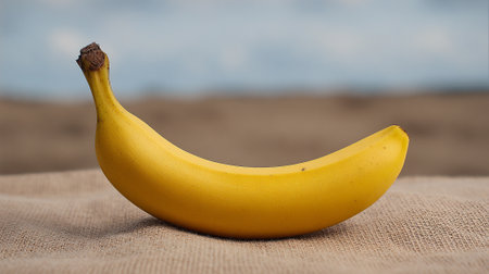 Bright Yellow Banana Still Life Composition on Burlap Fabric Surfaceの素材