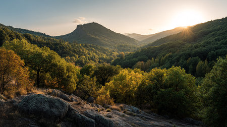 Mountain Valley Landscape with Golden Sunlight Streaming Through the Dense Forest Canopyの素材