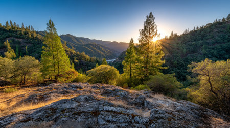 Sunlight Streams Through the Trees in a Mountain Valley Vistaの素材