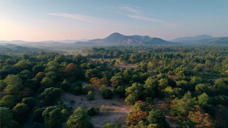 Tranquil Vista: Aerial View of Lush Green Forest and Distant Mountainsの素材