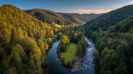 Serene River Valley Landscape in Germany's Black Forest at Sunsetの素材