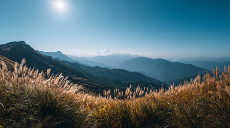 Expansive Mountain Vista with Golden Grass Under a Bright Blue Skyの素材