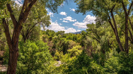 Verdant Forest Canopy Reveals a Glimpse of Blue Sky and Mountainsの素材