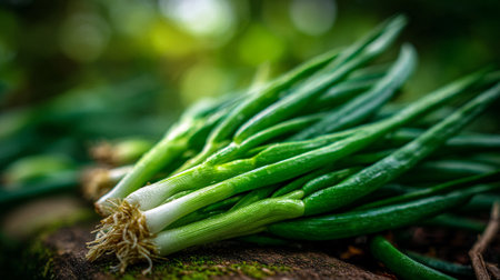 Freshly Harvested Green Onions Displayed on Mossy Wood, Perfect for Cookingの素材