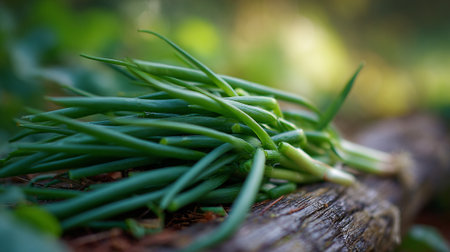 Fresh Green Onions Resting on Rustic Wood with Natural Bokehの素材