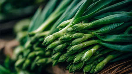 Fresh Organic Green Onions: A Bounty of Flavor and Nutritionの素材