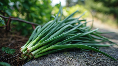 Freshly harvested bunch of vibrant green scallions resting on rough concrete surface.の素材