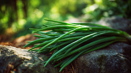 Vibrant green onions displayed naturally upon a grey stone surfaceの素材
