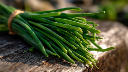 Freshly harvested organic chives tied in a bunch on rustic wood.の素材