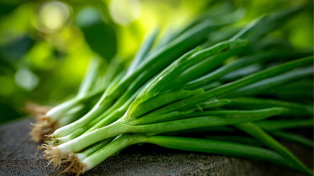 Freshly Harvested Green Onions Displayed on a Textured Surface Outdoorsの素材