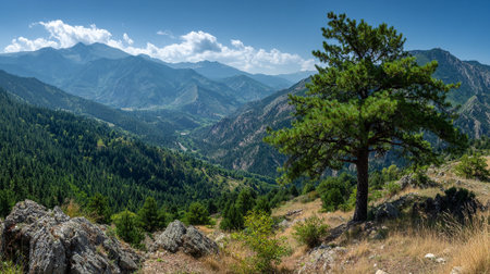 Mountain valley vista featuring a pine tree under a bright blue sky.の素材