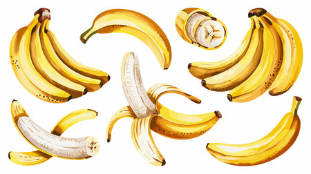 Sweet yellow bananas, healthy fruit, watercolor art, food illustration, isolated on whiteのイラスト素材